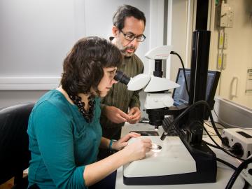 Brenda Pracheil and Bryan Chakoumakos examine the structure of an otolith under a microscope. Brenda Pracheil and Bryan Chakoumakos examine the structure of an otolith under a microscope.